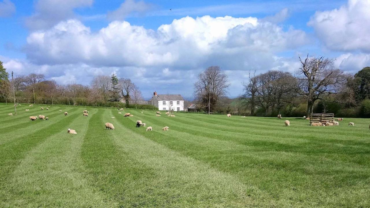Lovaton Farmhouse Okehampton Dış mekan fotoğraf