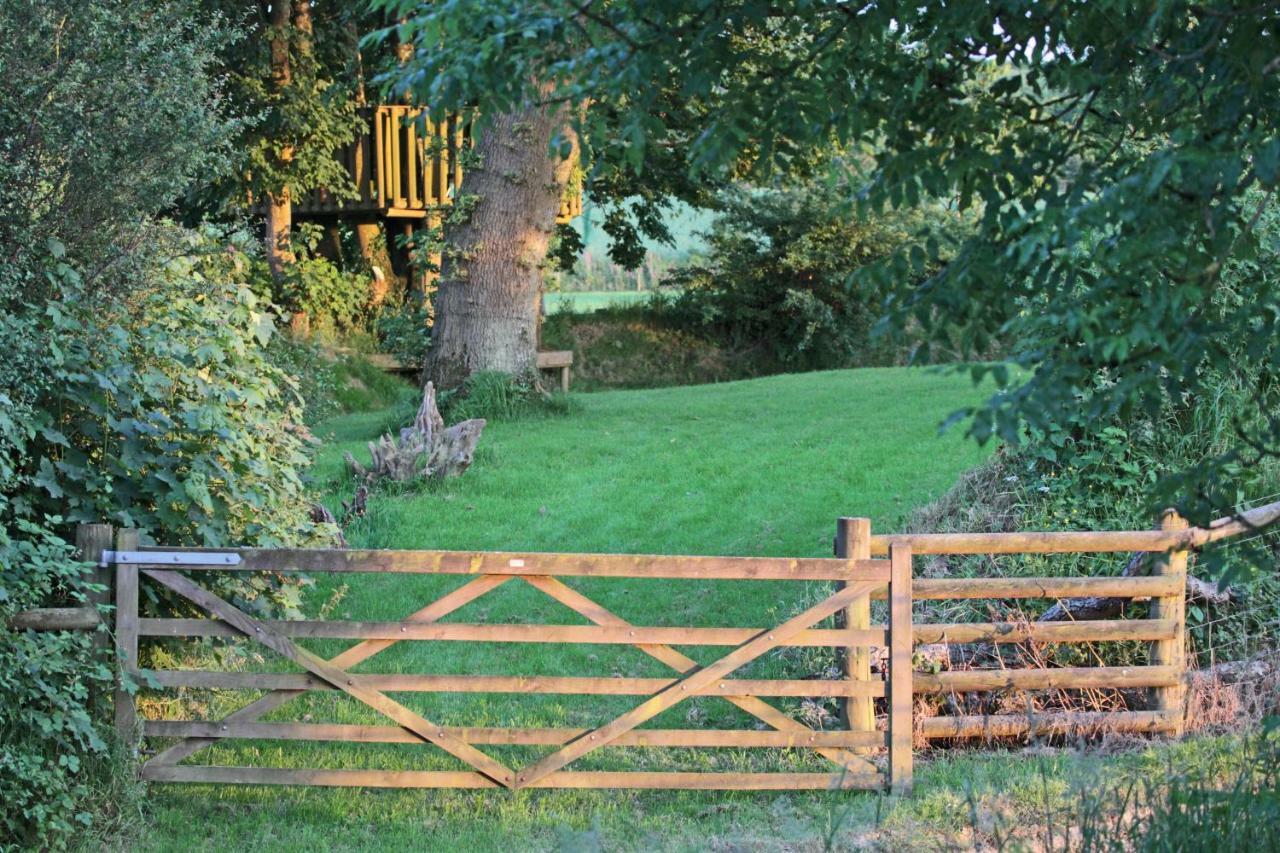 Lovaton Farmhouse Okehampton Dış mekan fotoğraf