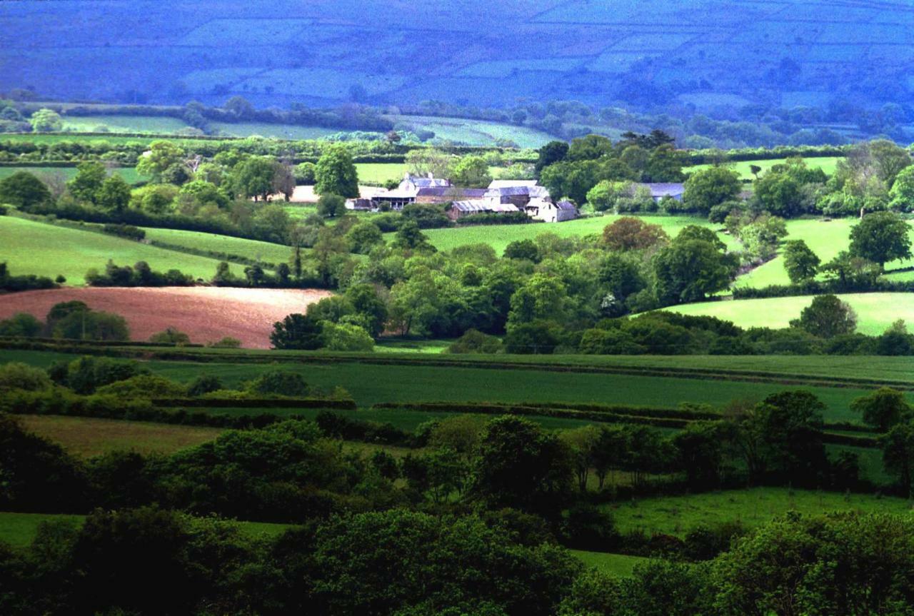 Lovaton Farmhouse Okehampton Dış mekan fotoğraf