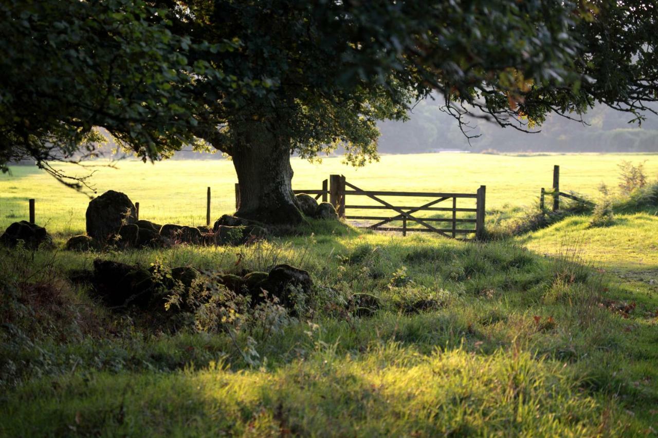 Lovaton Farmhouse Okehampton Dış mekan fotoğraf